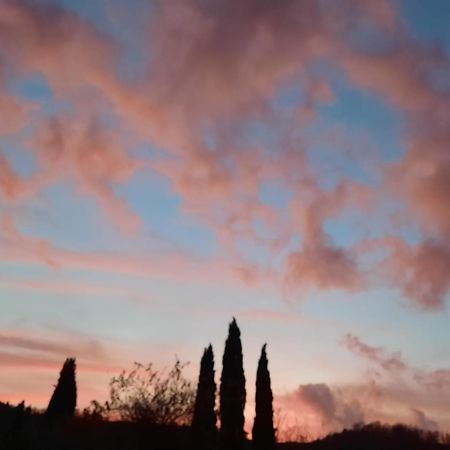 Al Piccolo Ulivo, A Casa Di Mimo&Se Villa Castiglione dʼOrcia Buitenkant foto