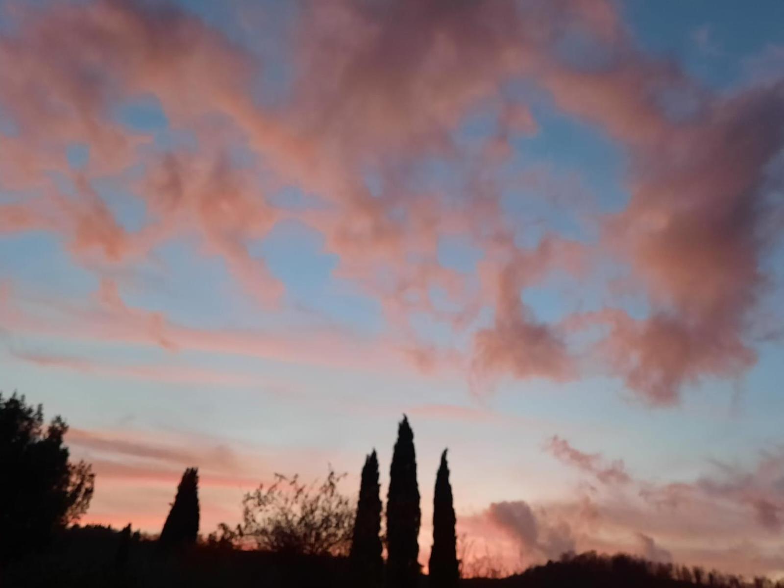 Al Piccolo Ulivo, A Casa Di Mimo&Se Villa Castiglione dʼOrcia Buitenkant foto