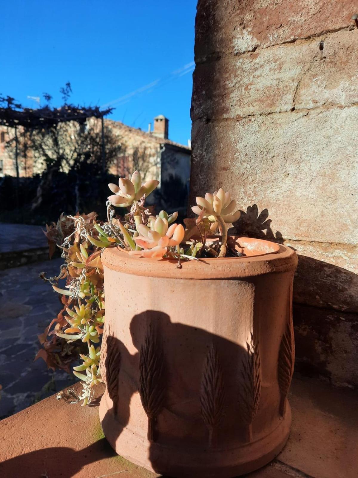 Al Piccolo Ulivo, A Casa Di Mimo&Se Villa Castiglione dʼOrcia Buitenkant foto