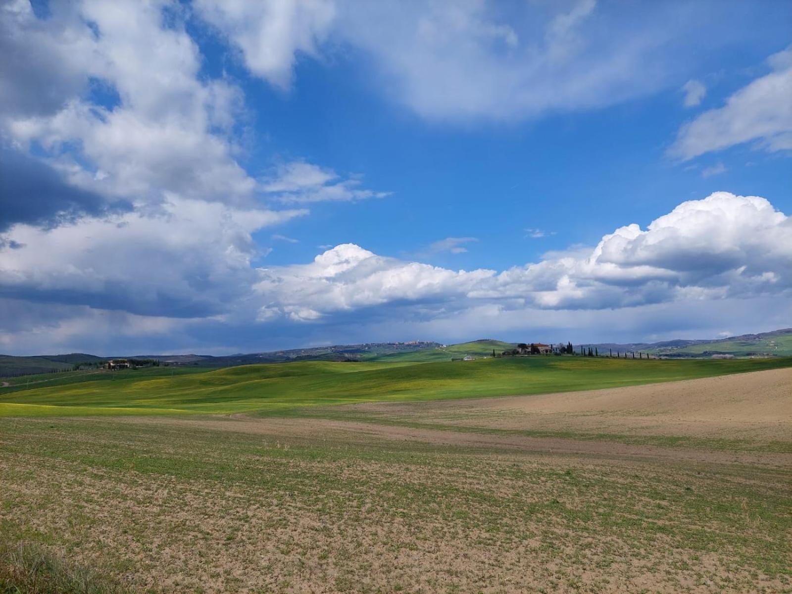 Al Piccolo Ulivo, A Casa Di Mimo&Se Villa Castiglione dʼOrcia Buitenkant foto