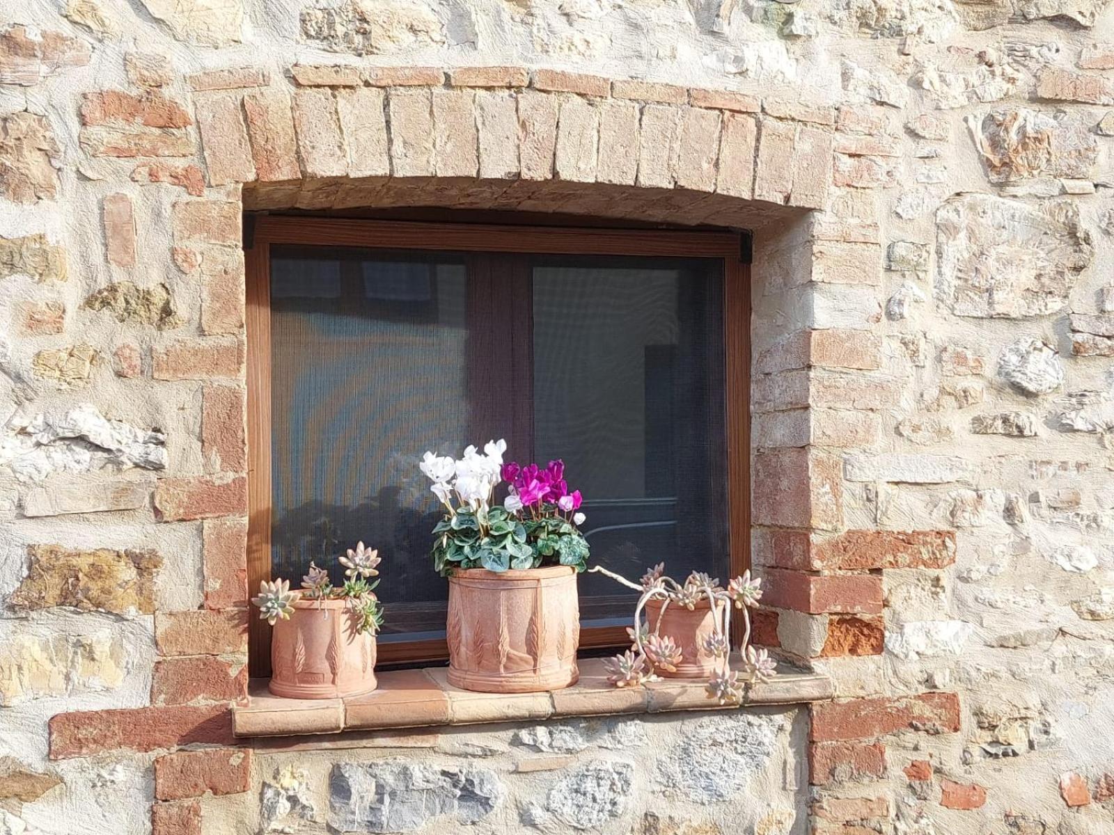 Al Piccolo Ulivo, A Casa Di Mimo&Se Villa Castiglione dʼOrcia Buitenkant foto