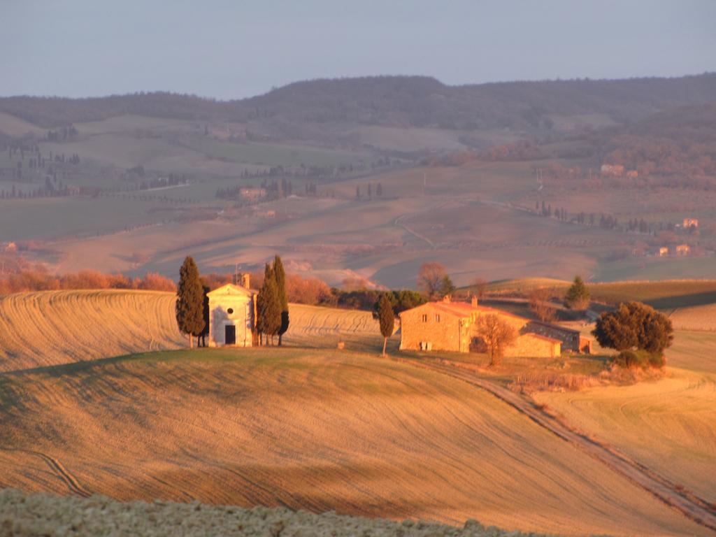 Al Piccolo Ulivo, A Casa Di Mimo&Se Villa Castiglione dʼOrcia Buitenkant foto