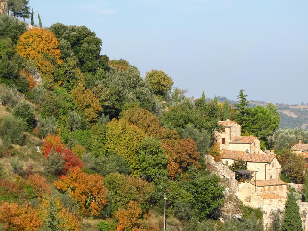 Al Piccolo Ulivo, A Casa Di Mimo&Se Villa Castiglione dʼOrcia Buitenkant foto